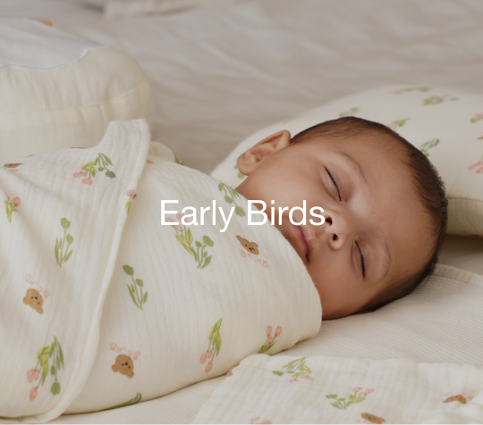Early Birds