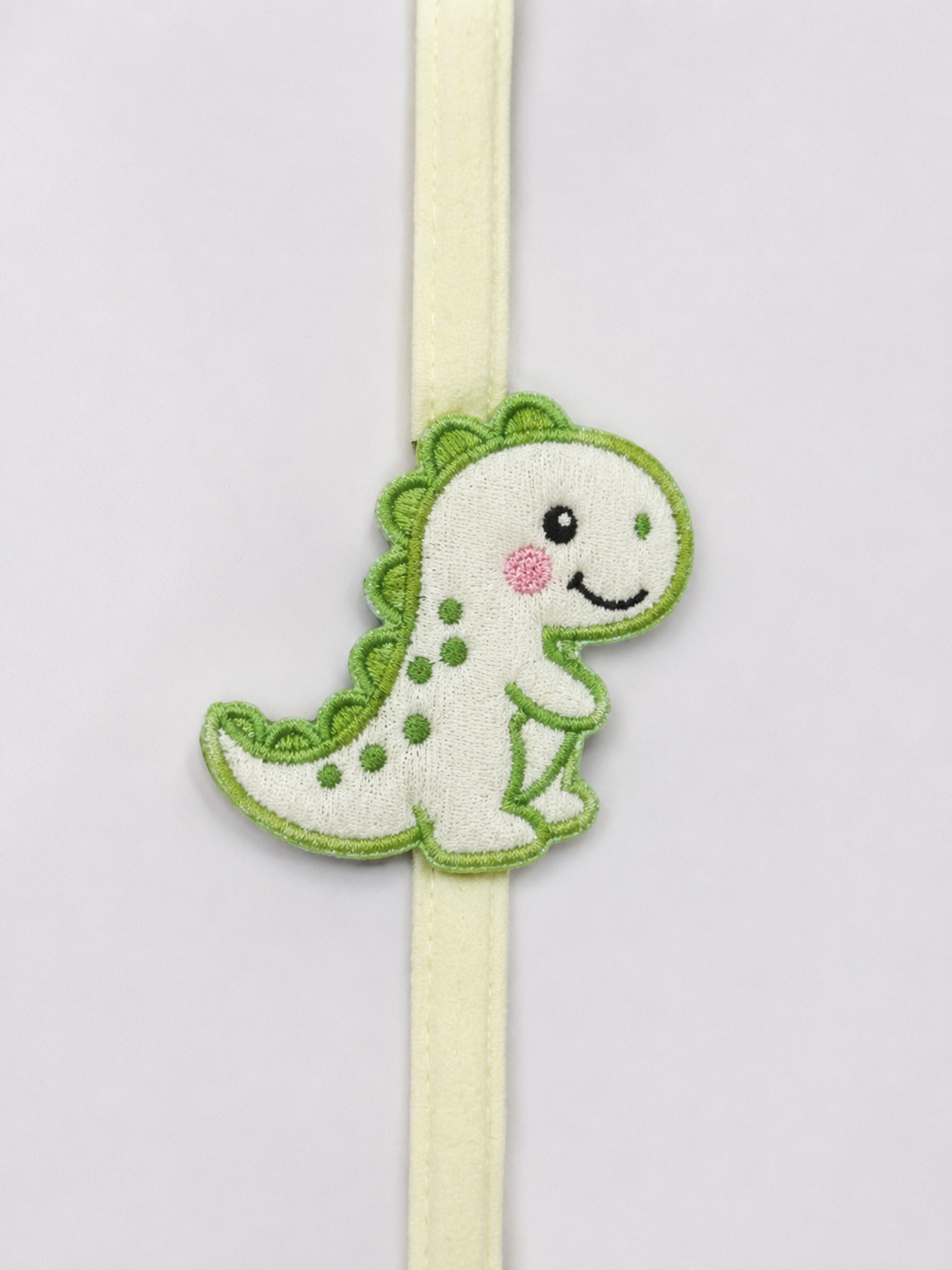 Little Trex Rakhi Hamper
